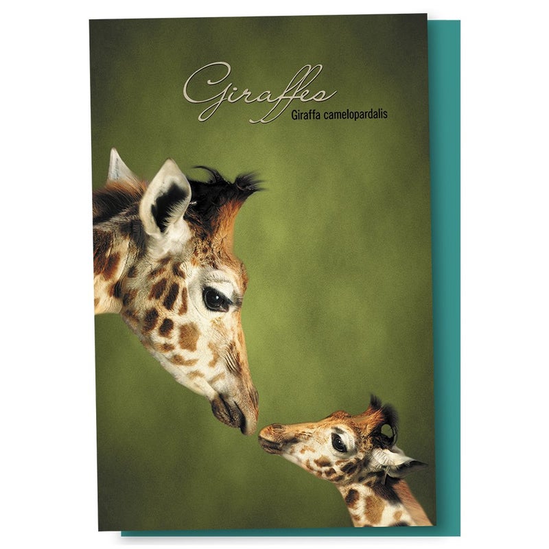 Tree-Free Greetings مجموعة بطاقات تهنئة خالية من الأشجار EcoNotes عدد 12 مع غلاف، زرافة الأم والطفل لجميع المناسبات، 4 × 6 بوصات (FS66812) - Image 1